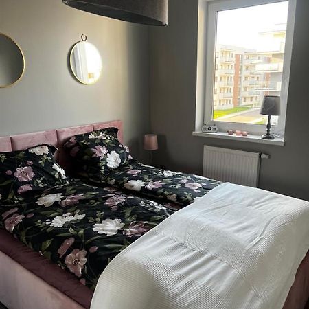 Apartament Sadowa 87 Garaz Gratis ! エルブロンク エクステリア 写真