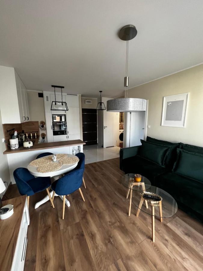 Apartament Sadowa 87 Garaz Gratis ! エルブロンク エクステリア 写真