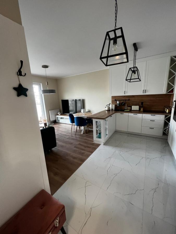 Apartament Sadowa 87 Garaz Gratis ! エルブロンク エクステリア 写真